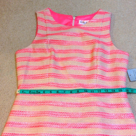 Anthropologie Eliza J Alina Striped Dress - Picture 9 of 11